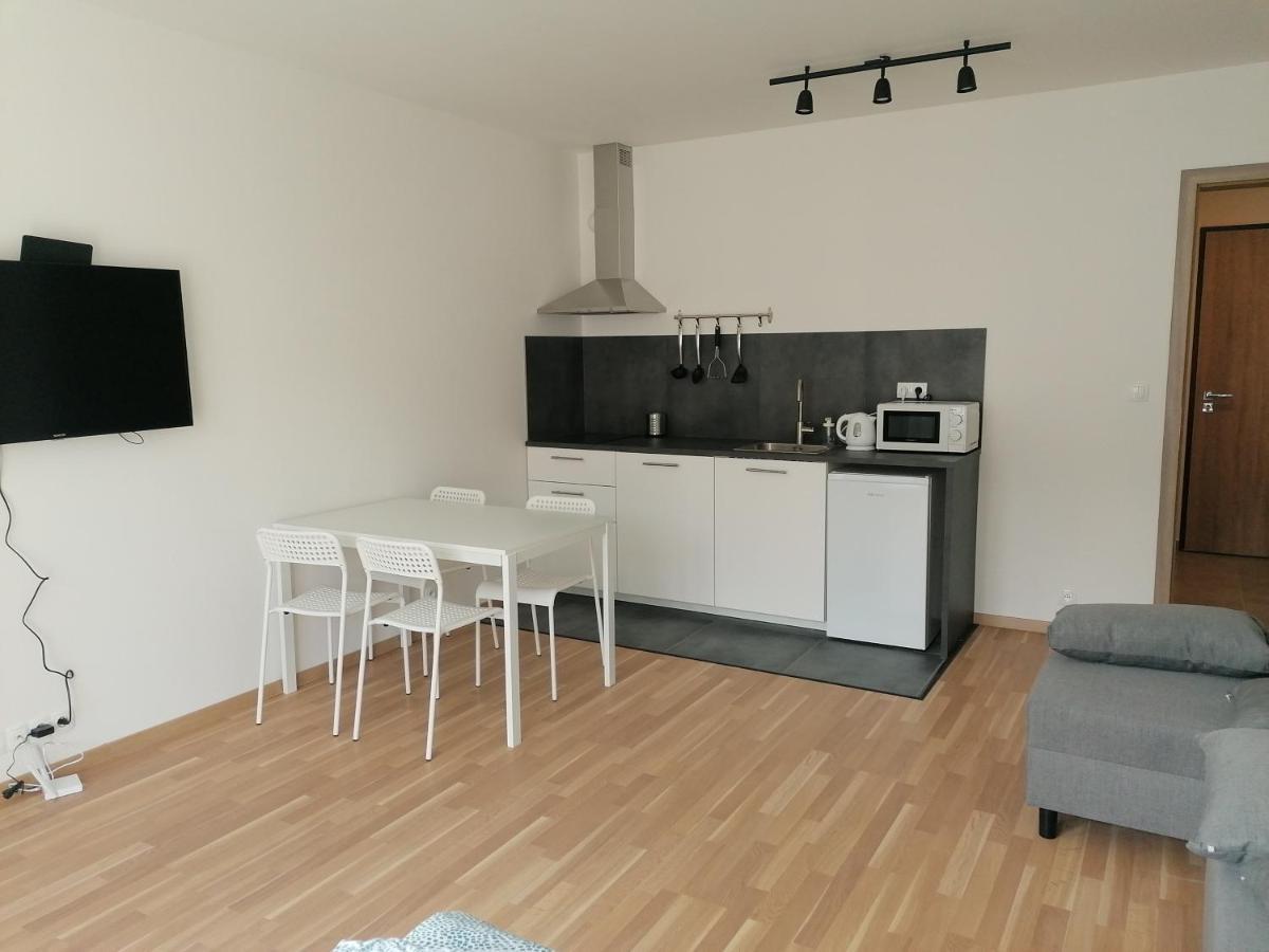 Lejlighed Brand New #31 In Brand New Building With Free Parking In The Center Prag